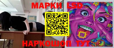 mdpv Ярославль