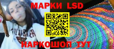 mdpv Ярославль