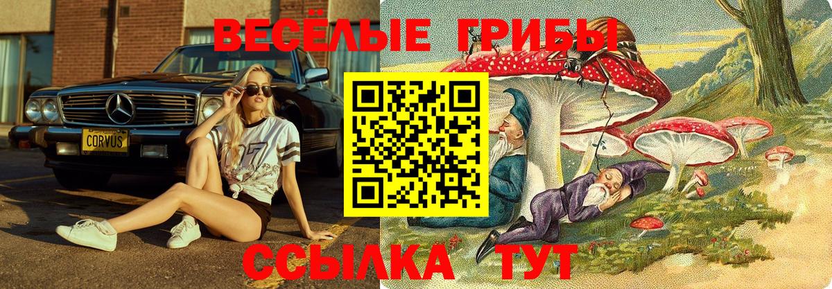 Галлюциногенные грибы прущие грибы  Вход с VPN  Жуковский  Галлюциногенные грибы Cubensis 
