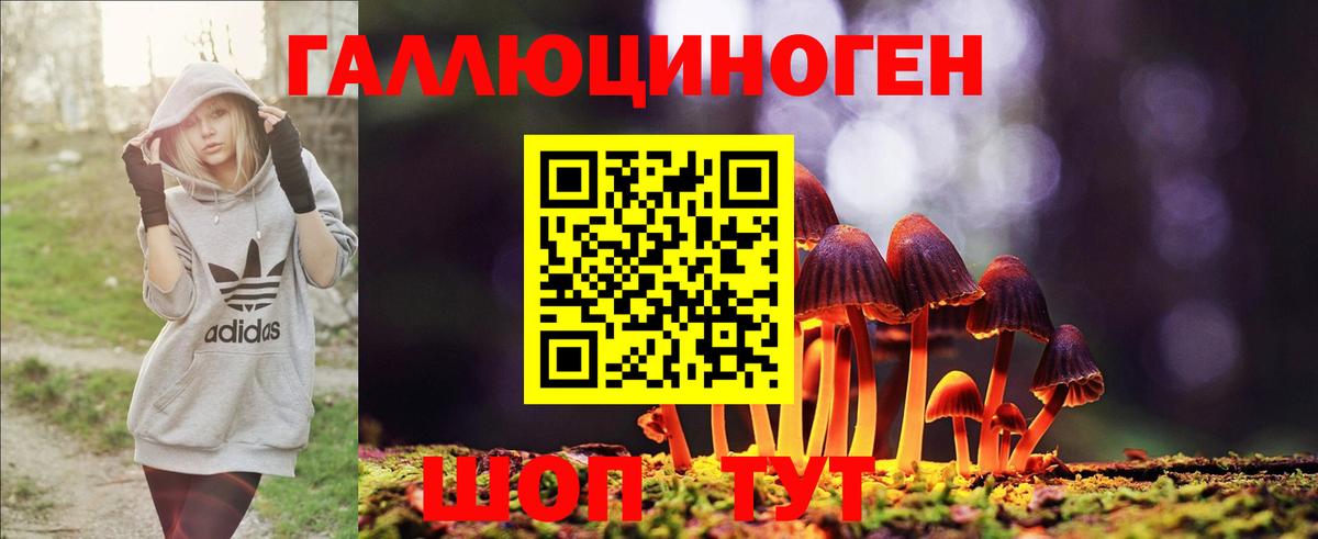 Галлюциногенные грибы мицелий Жуковский